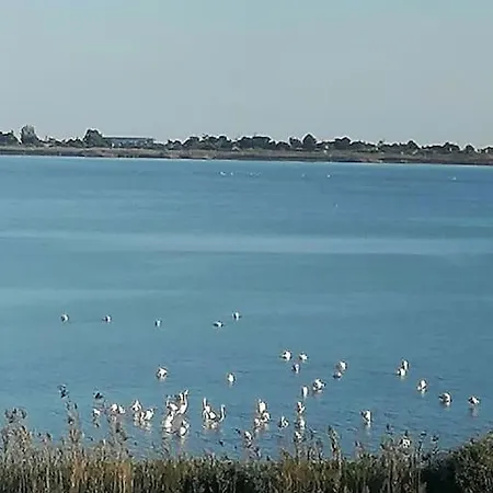Pop In! Sunny 2bdr Near The * Cagliari